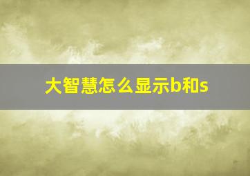 大智慧怎么显示b和s