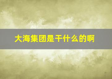 大海集团是干什么的啊