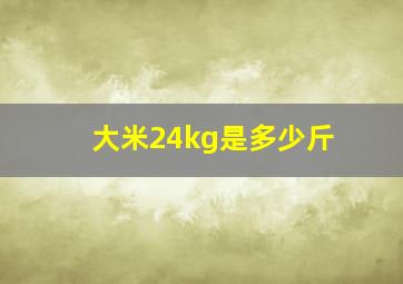 大米24kg是多少斤