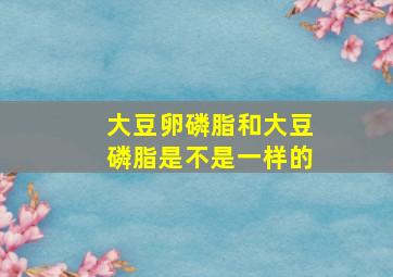 大豆卵磷脂和大豆磷脂是不是一样的