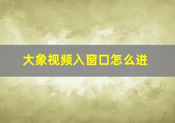 大象视频入窗口怎么进