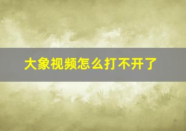 大象视频怎么打不开了