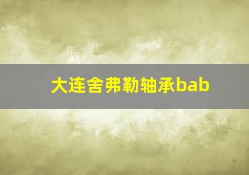 大连舍弗勒轴承bab