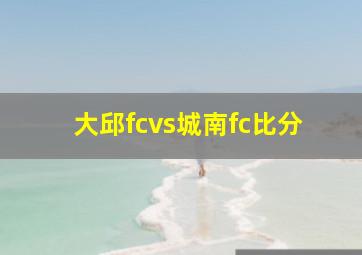 大邱fcvs城南fc比分