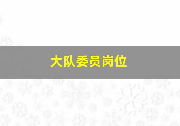 大队委员岗位