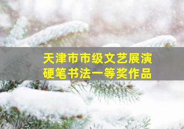 天津市市级文艺展演硬笔书法一等奖作品