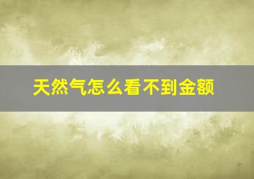 天然气怎么看不到金额