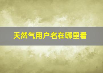 天然气用户名在哪里看