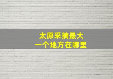 太原采摘最大一个地方在哪里