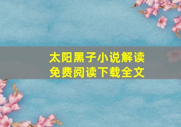 太阳黑子小说解读免费阅读下载全文