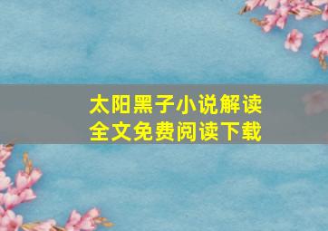 太阳黑子小说解读全文免费阅读下载