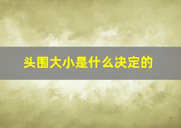 头围大小是什么决定的