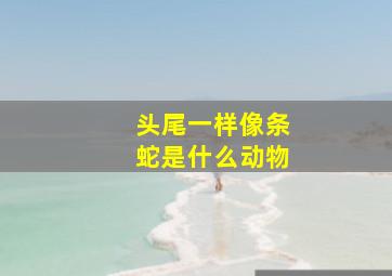 头尾一样像条蛇是什么动物