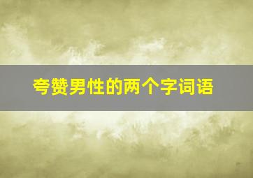 夸赞男性的两个字词语