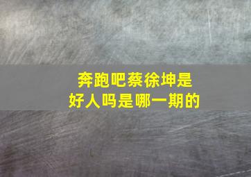 奔跑吧蔡徐坤是好人吗是哪一期的