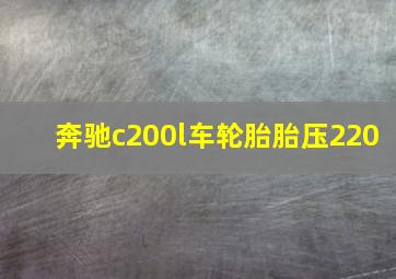 奔驰c200l车轮胎胎压220