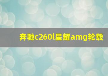 奔驰c260l星耀amg轮毂