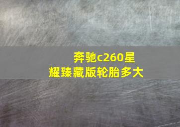 奔驰c260星耀臻藏版轮胎多大