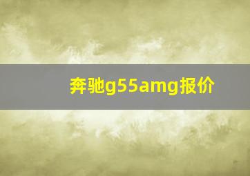 奔驰g55amg报价