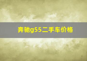 奔驰g55二手车价格