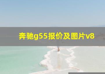 奔驰g55报价及图片v8