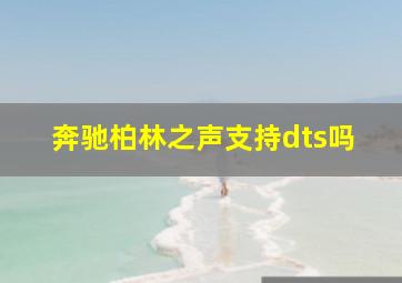 奔驰柏林之声支持dts吗