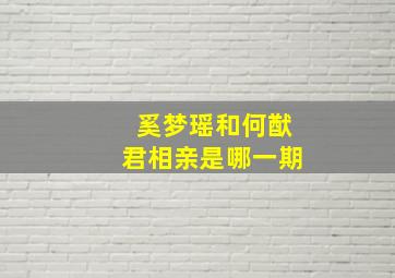 奚梦瑶和何猷君相亲是哪一期