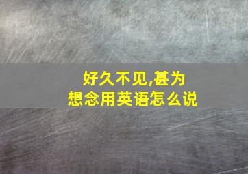 好久不见,甚为想念用英语怎么说