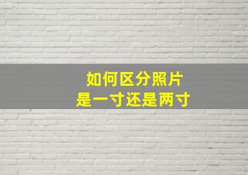 如何区分照片是一寸还是两寸