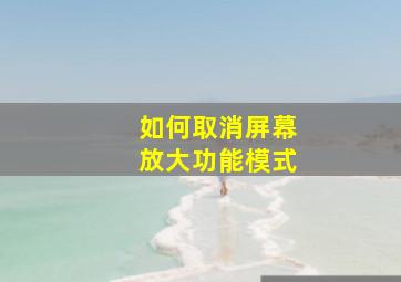 如何取消屏幕放大功能模式