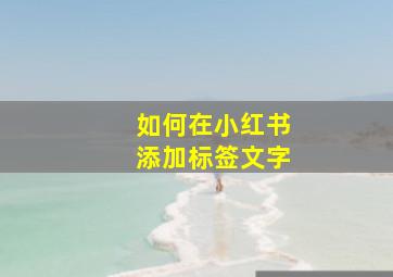 如何在小红书添加标签文字