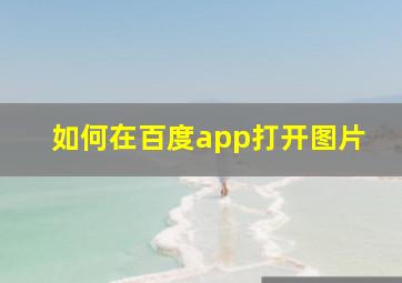 如何在百度app打开图片