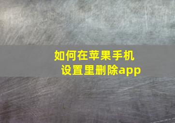 如何在苹果手机设置里删除app