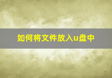 如何将文件放入u盘中