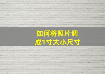 如何将照片调成1寸大小尺寸