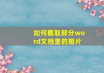 如何截取部分word文档里的图片