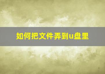 如何把文件弄到u盘里