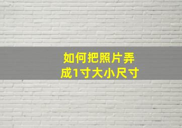 如何把照片弄成1寸大小尺寸