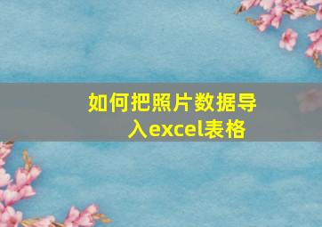 如何把照片数据导入excel表格