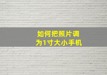 如何把照片调为1寸大小手机