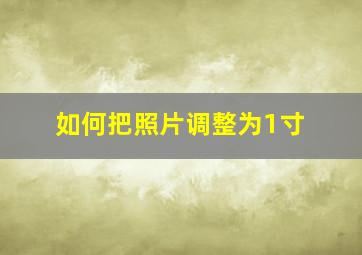 如何把照片调整为1寸