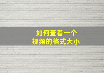 如何查看一个视频的格式大小