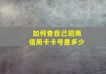 如何查自己招商信用卡卡号是多少