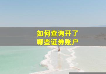 如何查询开了哪些证券账户