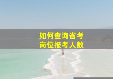 如何查询省考岗位报考人数