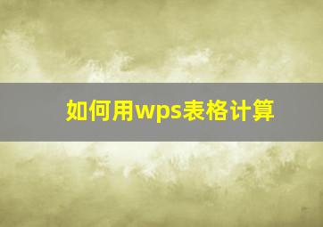 如何用wps表格计算