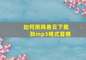 如何用网易云下载到mp3格式音频