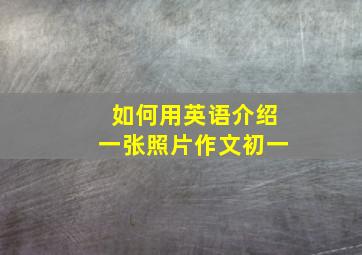 如何用英语介绍一张照片作文初一