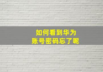 如何看到华为账号密码忘了呢