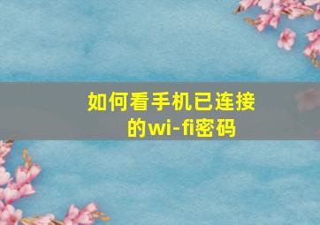 如何看手机已连接的wi-fi密码